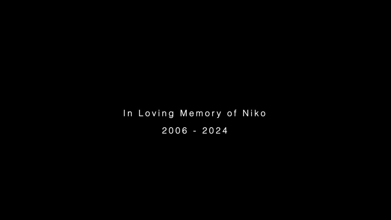 Niko was 18 when he passed away.