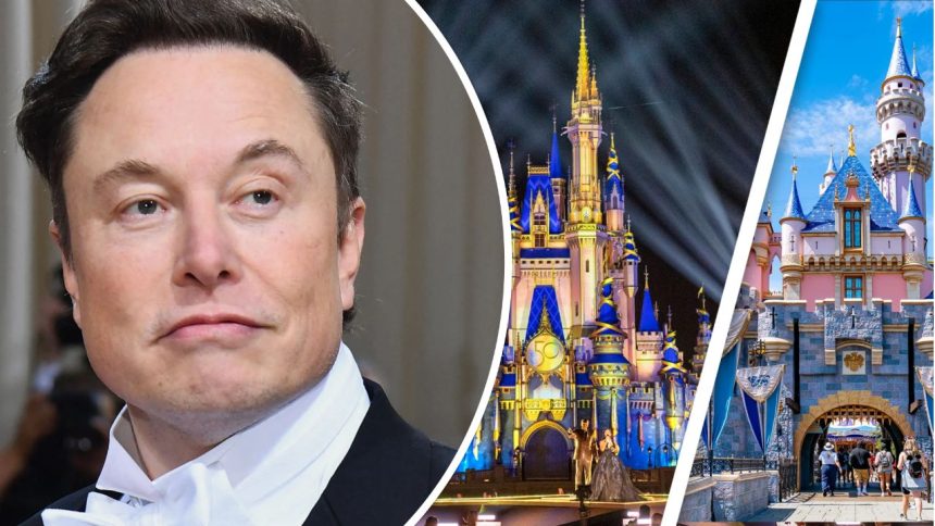 Fact Check: Is Elon Musk Buying Disneyland?