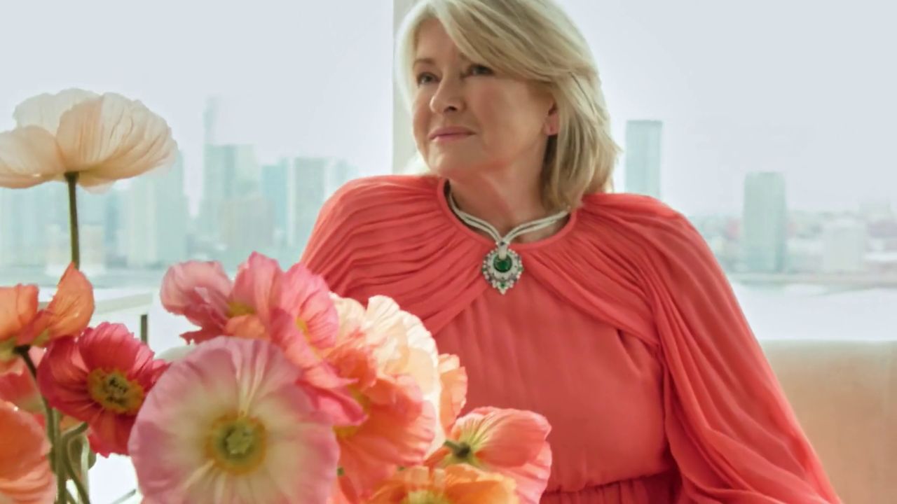 Martha Stewart's plastic surgery, including Botox and fillers, might have been mistaken for a stroke.