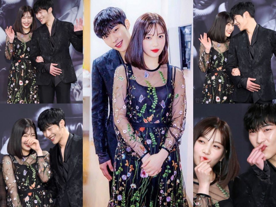 Woo Do-hwan and Joy aka Park Soo-young were also romantically linked in 2018, but it was just fans wishing they were together.