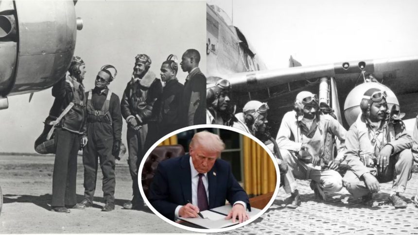 Tuskegee Airmen: Trump Cuts Air Force History Video and Movie from Training