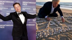 FAFO Meaning: What Does Elon Musk's FAFO Tweet Stand For?