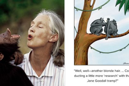 Far Side Controversy: Jane Goodall, Gary Larson | Cartoon