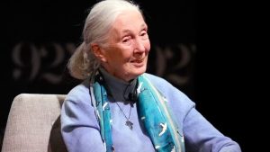 Jane Goodall Cause of Death: How Did the Primatologist Die?