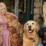 Dolly Parton's 3 Beloved Dogs: Cracker Jack, Popeye & Billy